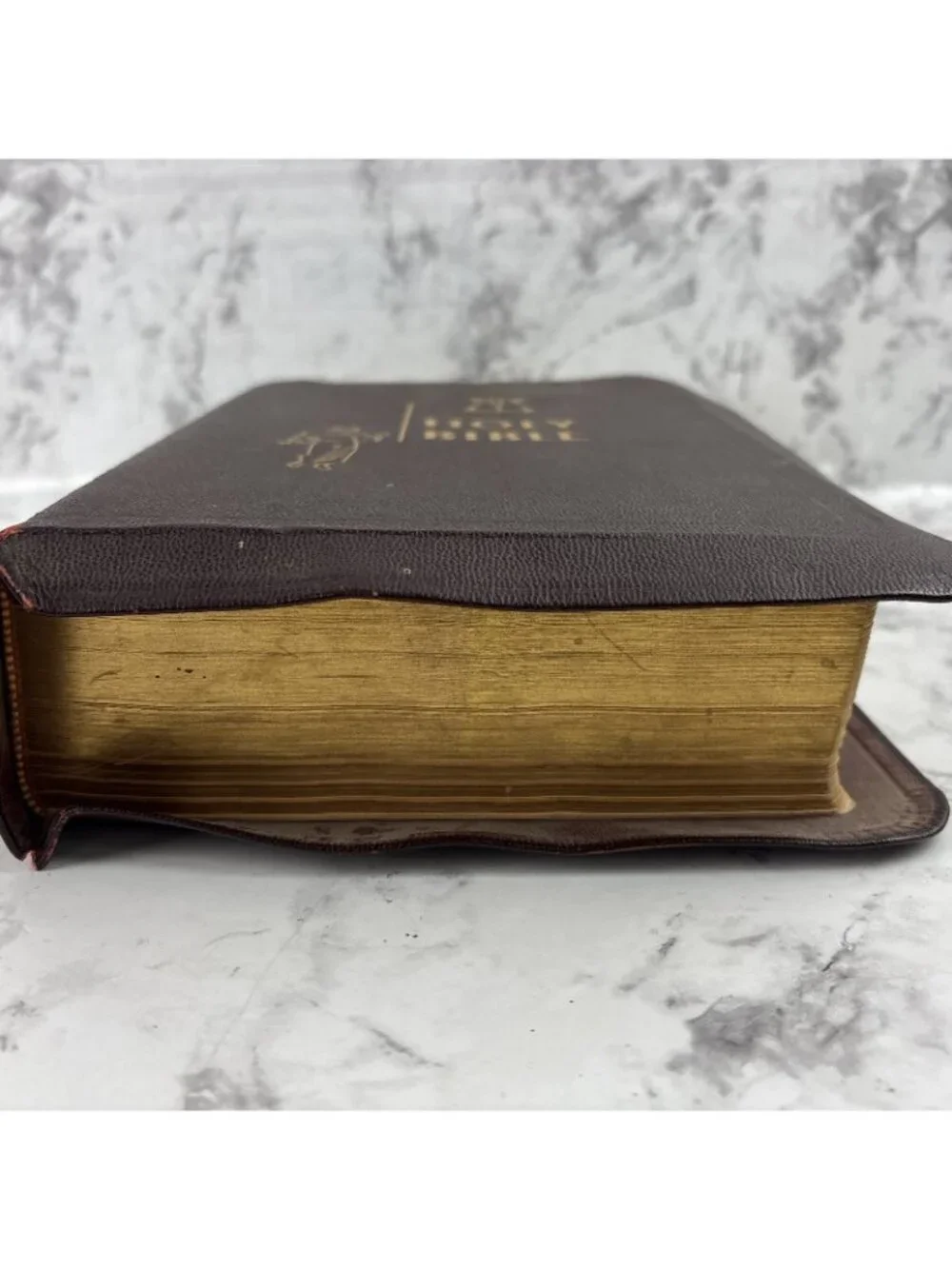 Holy Family Edition Catholic Bible 1950 Old & New Testament Gold Edge Pages